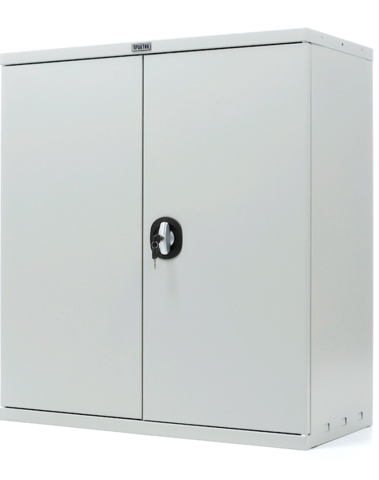 Шкаф Практик СВ-11 купить в Оренбурге