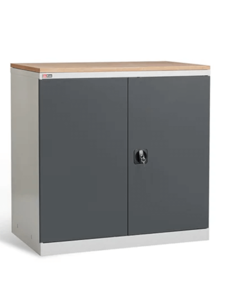 Шкаф инструментальный ДиКом ВЛ-051-04 купить в Оренбурге