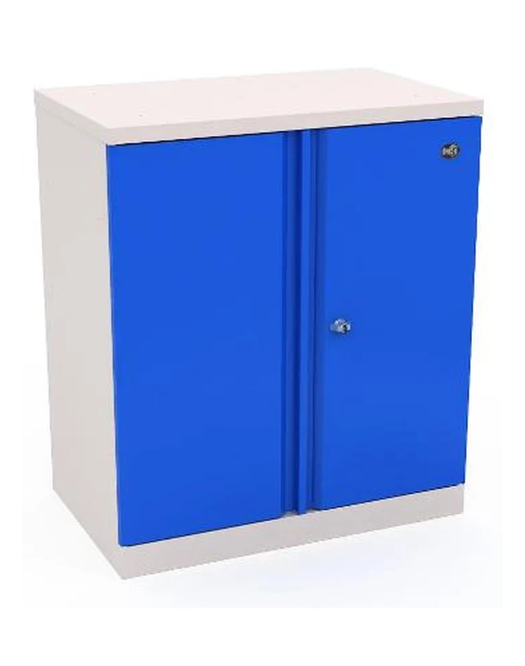 Шкаф инструментальный ERGO 181/2 №11 купить в Оренбурге
