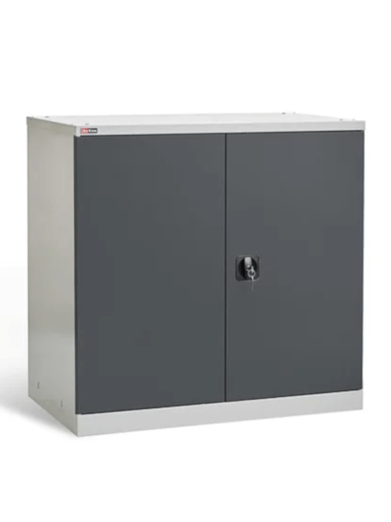 Шкаф инструментальный ДиКом ВЛ-051 (7038/7016) купить в Оренбурге